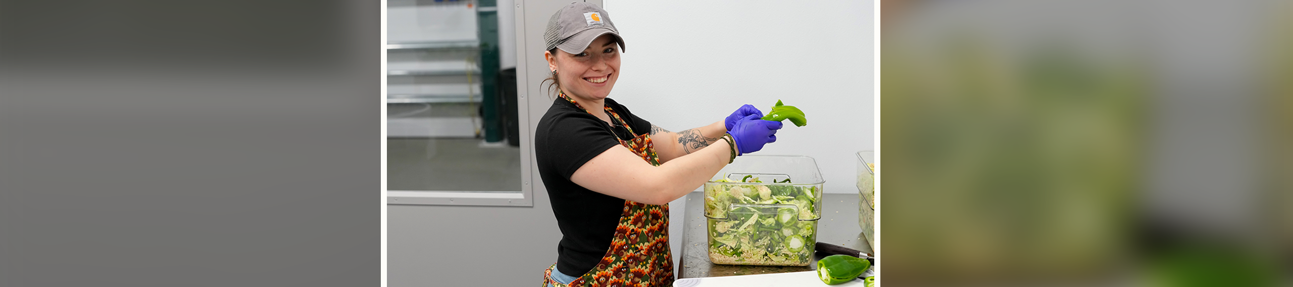 Photo of Food Preparation